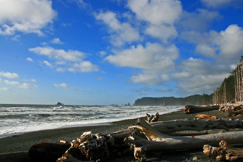 Recorriendo la costa oeste de Canadá y la Península Olympic en EEUU - Blogs de America Norte - LA PENINSULA OLYMPIC (11)