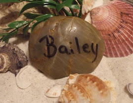 Bailey's Stone