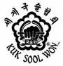 Kuk Sool Won