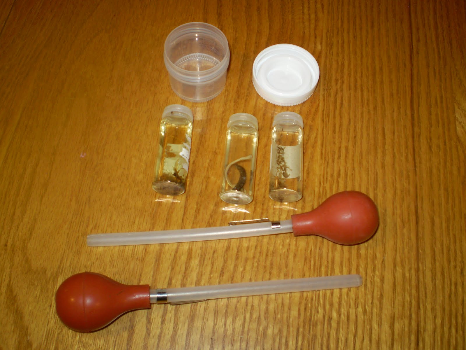 Fly fishing the west with howard stomach pump