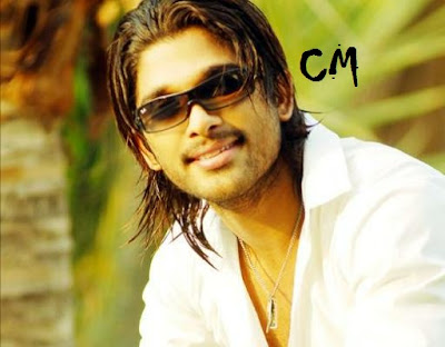 allu arjun malayalam movie 2014 allu arjun malayalam movie 2014