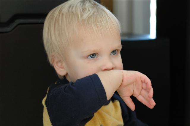 [DSC_0004+(Small).JPG]