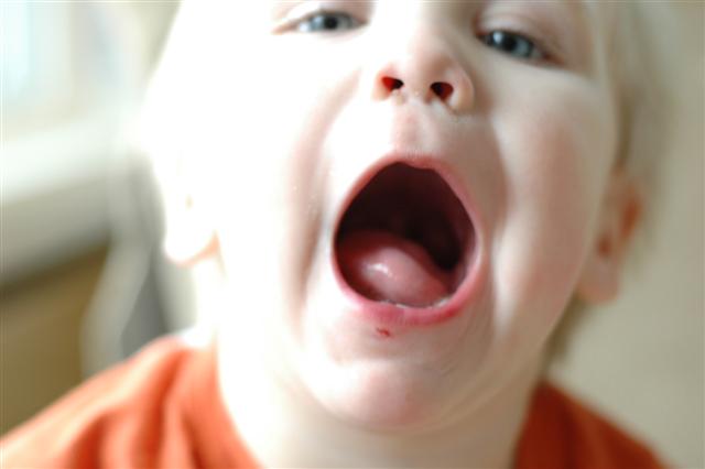 [DSC_0108+(Small).JPG]