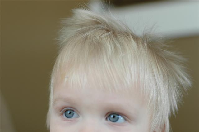 [DSC_0050+(Small).JPG]