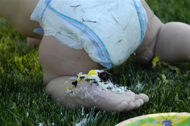 [_DSC0360+(Small).JPG]