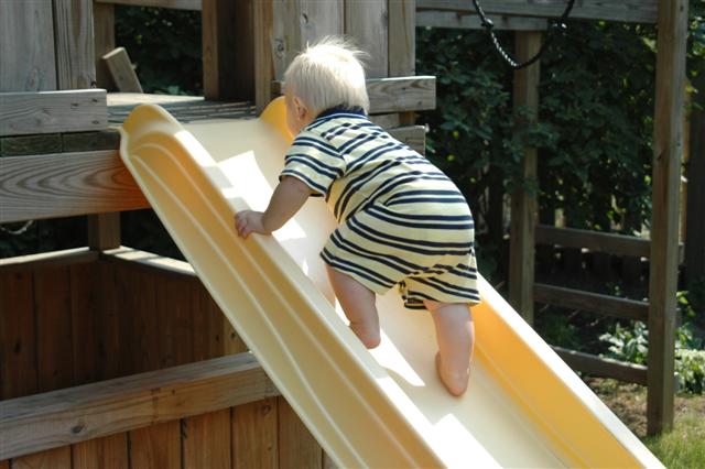 [DSC_0122+(Small).JPG]