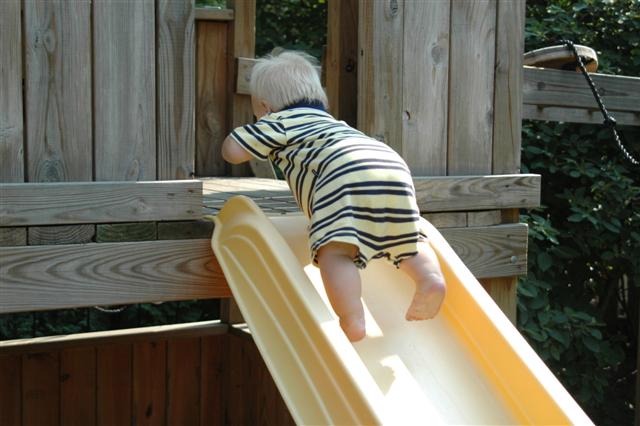 [DSC_0124+(Small).JPG]