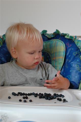 [DSC_0010+(Small).JPG]