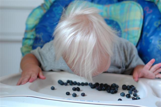 [DSC_0004+(Small).JPG]