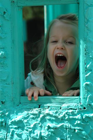 [DSC_0157+(Small).JPG]