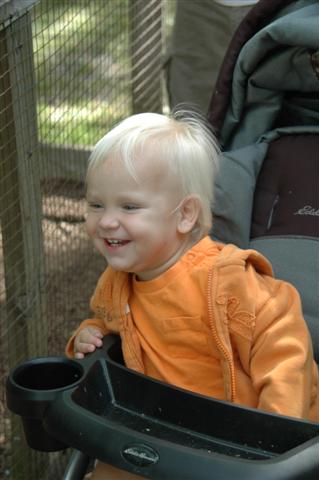 [DSC_0090+(Small).JPG]