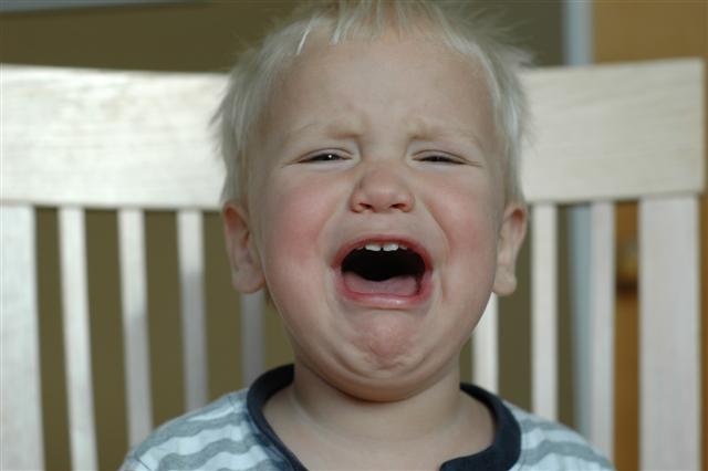 [DSC_0002+(Small).JPG]