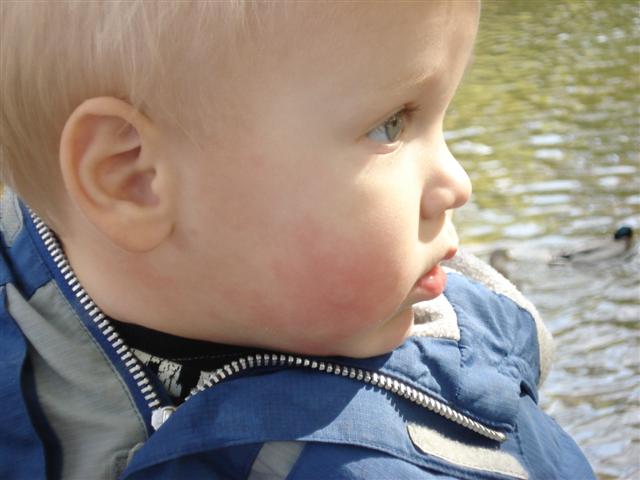 [DSC00487+(Small).JPG]