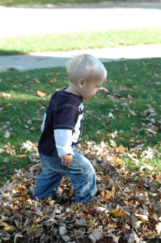 [DSC_0020+(Small).JPG]