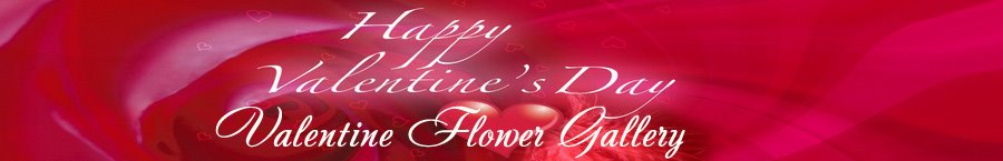 Valentine Flowers, Love Wallpapers, Love Pictures