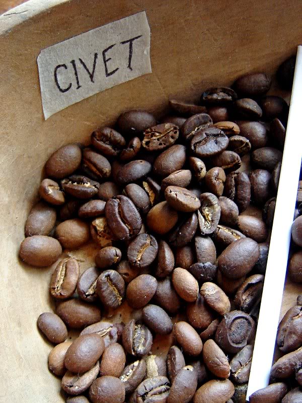 Mocha The 3m0 Civet Coffee/ Kopi Luwak