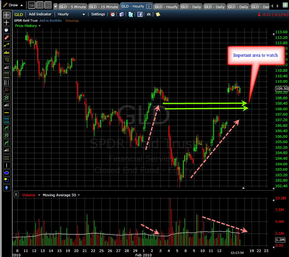 [GLD+Update+02-17-10.jpg]