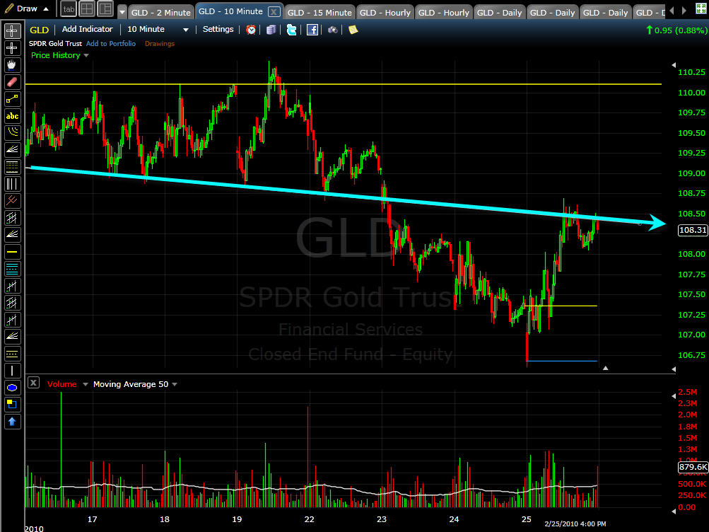 [GLD+Update+02-26-10.jpg]