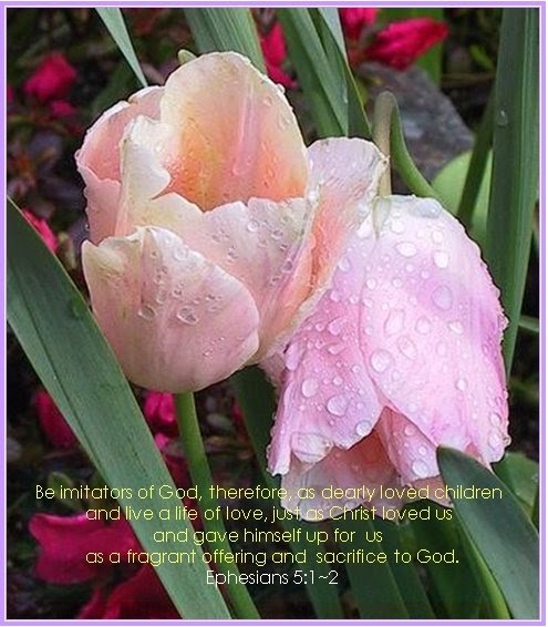 Shared Bible Verses: Fragrant Offering
