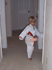 Our Kung Fu Master