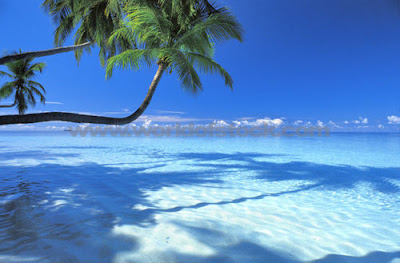 amazing place: The Maldive Islands