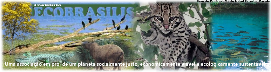 INSTITUTO ECOBRASILIS