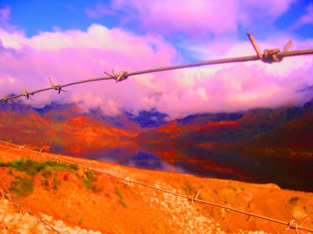 Barbed Wire