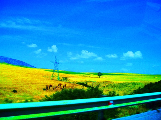 Roadtrip