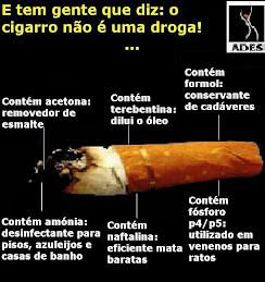 www.adesf.com.br