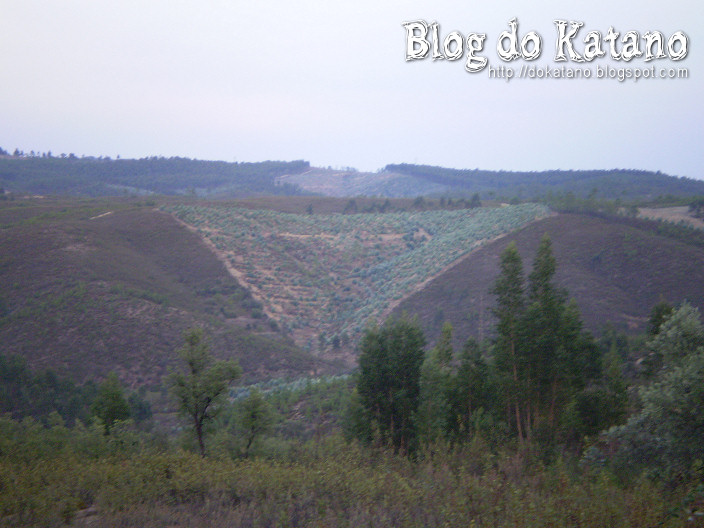 [cuecas_granditas.jpg]