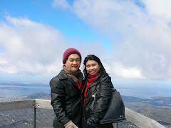 Mt. Wellington, Hobart