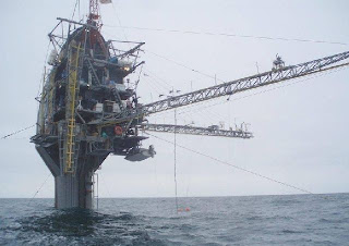 Small shipyard....: Giant Ship For Whale Watching