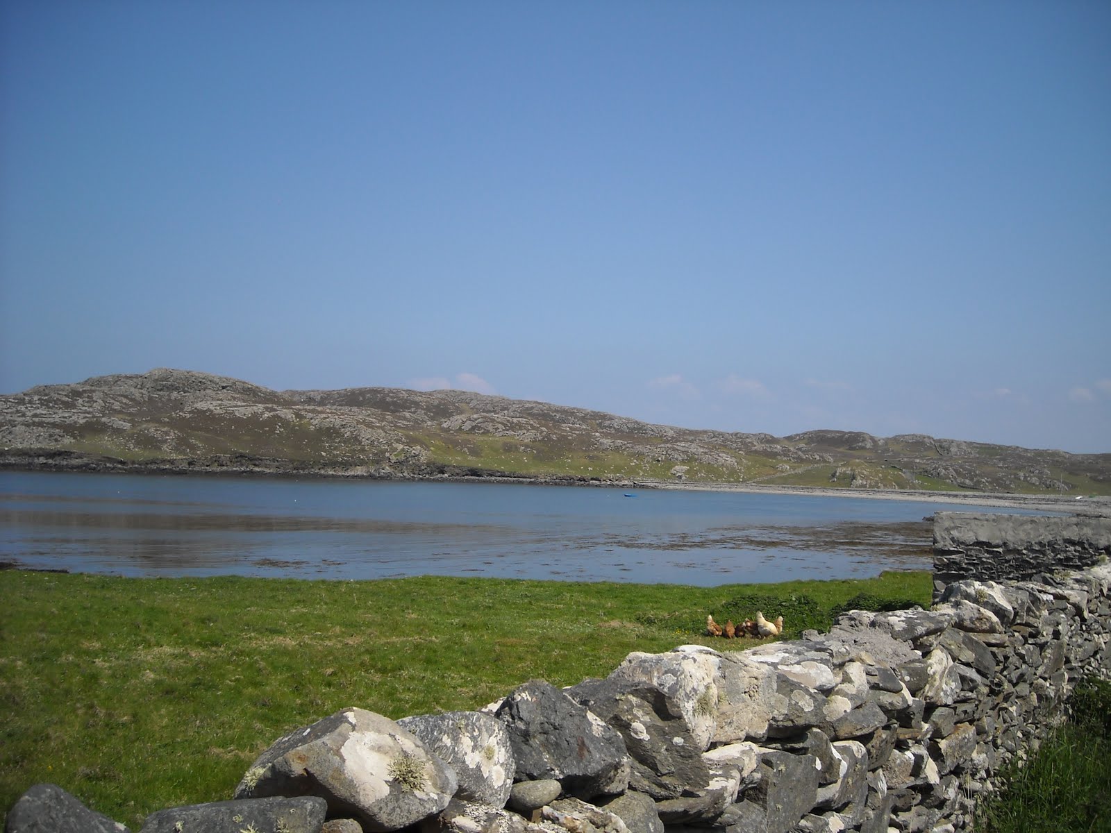 Trois mois pour découvrir l'Irlande! Suite du péripleInishbofin, une île au large de Cleggan