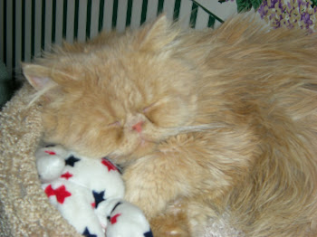 Cecil