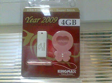 Flash Drive 1