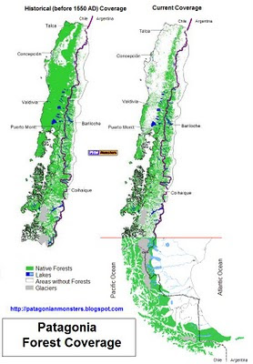 Patagonia Forest coverage