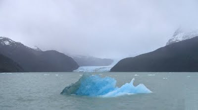 Iceberg at Lago Argentino