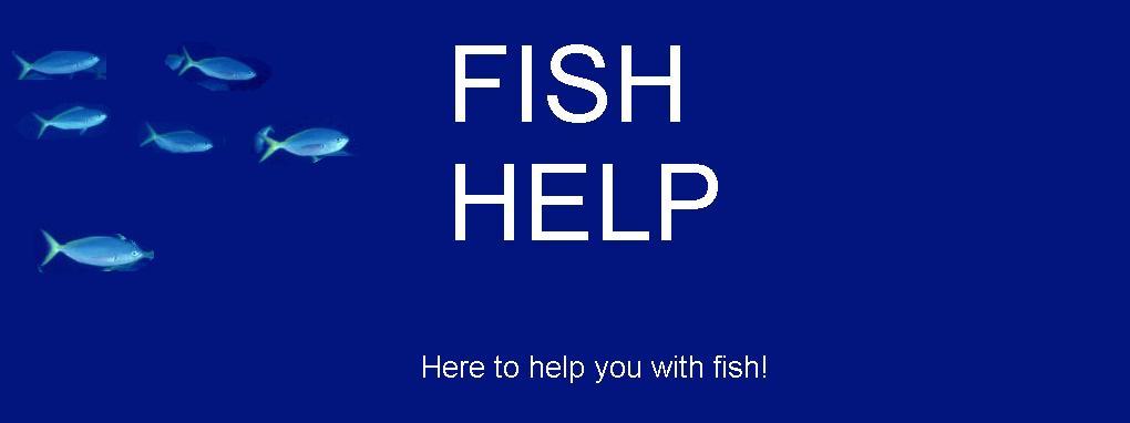 Fish Help Blog