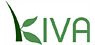 KIVA.org