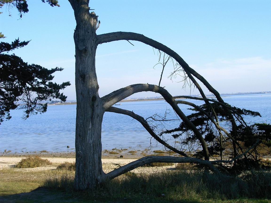 [RedimensionnerIMAG0002.JPG]