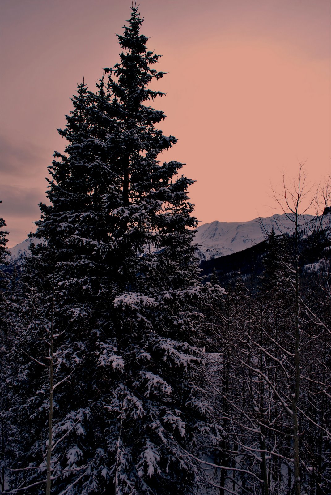 [Copy+of+DSC_0854.JPG]