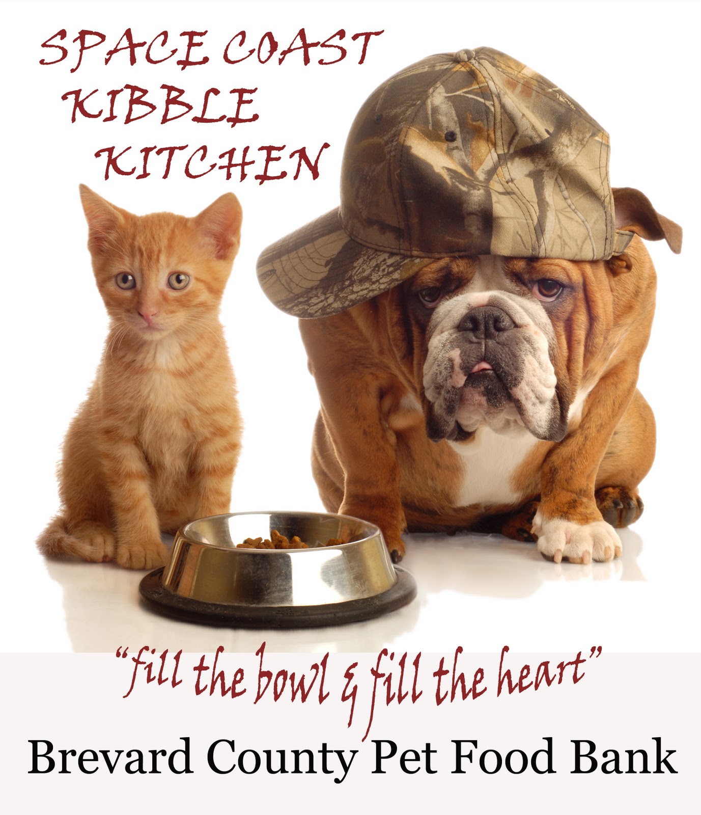 Space Coast Kibble Kitchen How to start a pet food bank 10 steps to