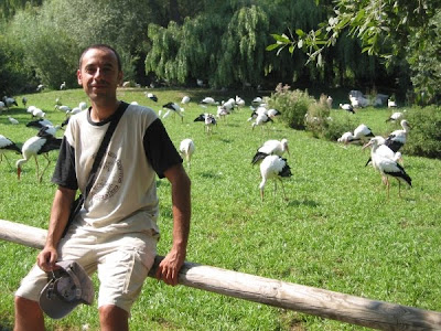 Can You Get A Scholarship For Being Blonde Hughledbetter S Blog