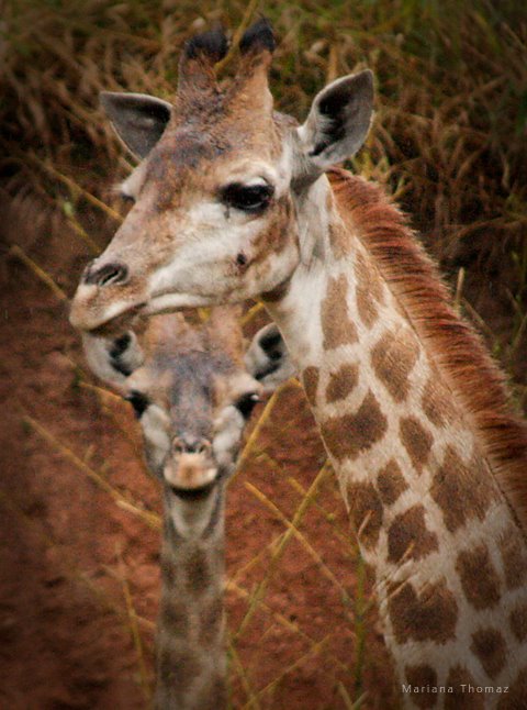 [natureza_espiritual_3.jpg]