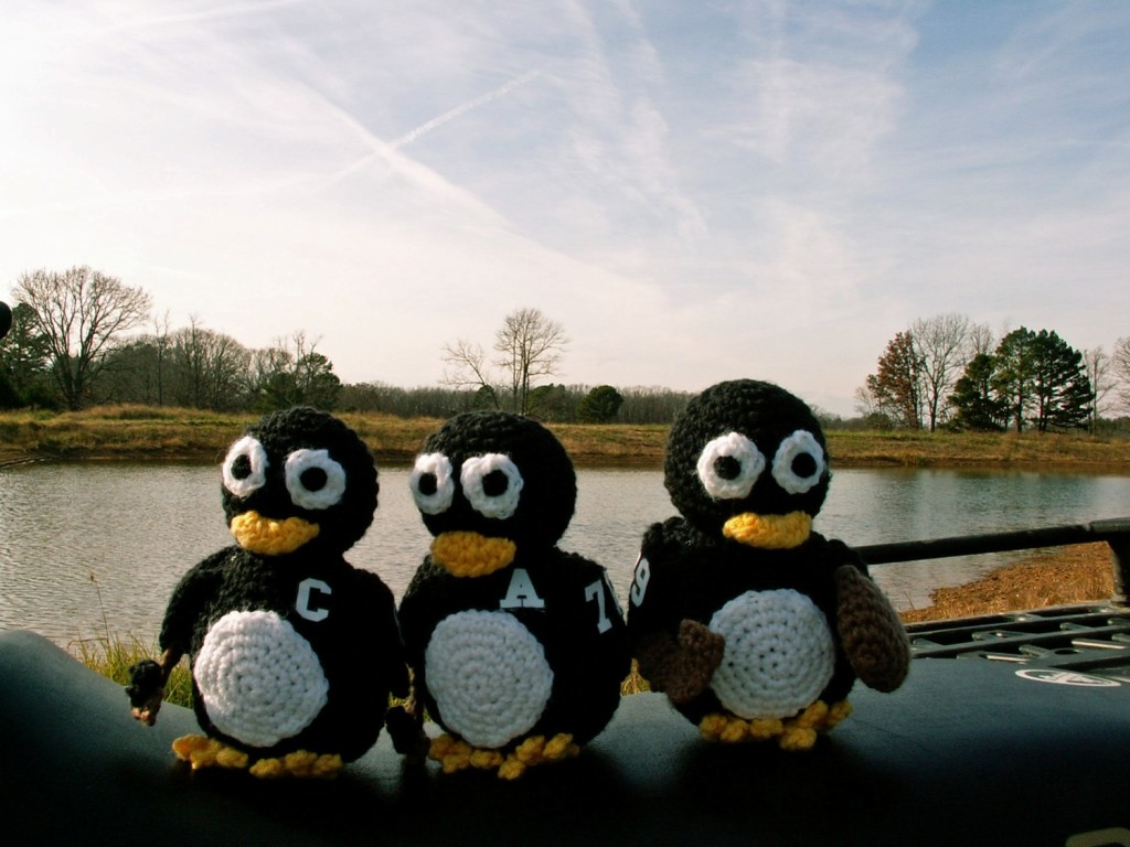 [penguins-adey-pond.jpg]