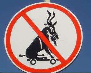http://2.bp.blogspot.com/__zXwHb4kWnA/SQ7auL1ZDTI/AAAAAAAAAGc/gm8oiu0TZeA/s400/kozel%5B1%5D.jpg