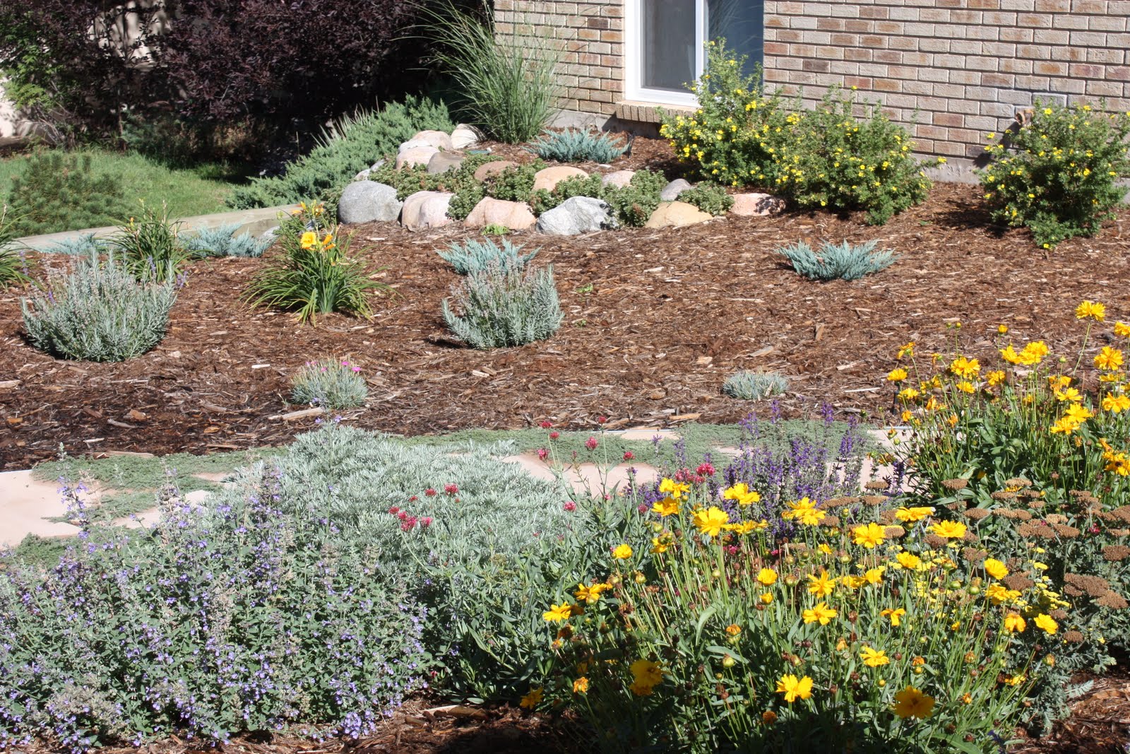 All the Dirt on Gardening: Can You Say Xeriscape?