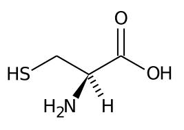 dosis de ácido glutámico glicina alanina prostatitis dosis de ácido glutámico glicina alanina prostatitis