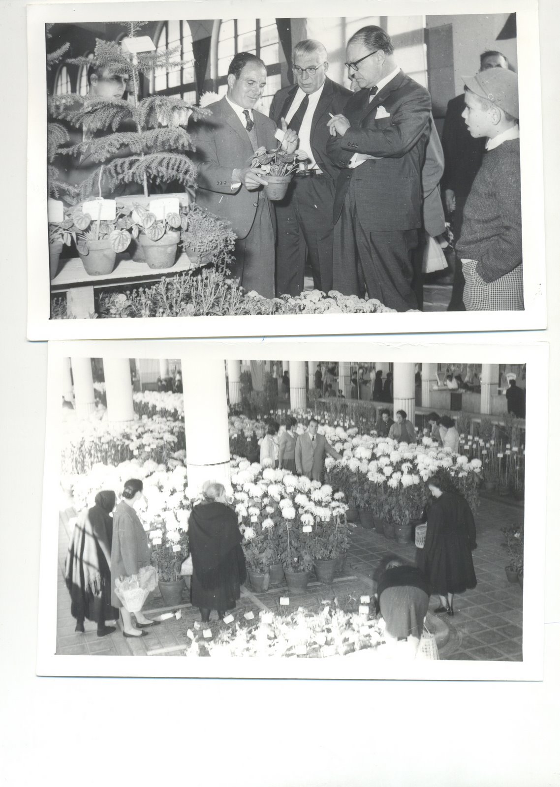 [Digitalizar0019.jpg]