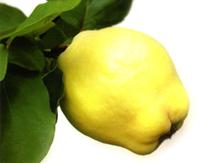 [kozmik-ayva-tatlısı.jpg]